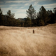 Illustration for article titled Our 10 Favorite Outdoor Destinations Of The Year